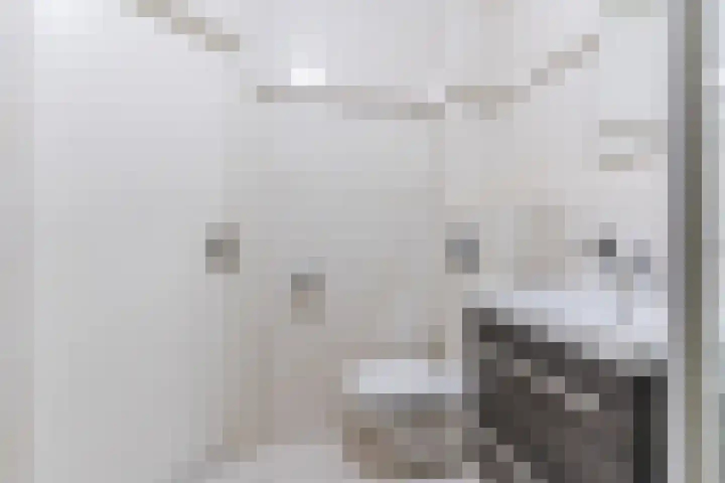 Willibrorduslaan 10 f Eersel thumbnail 39