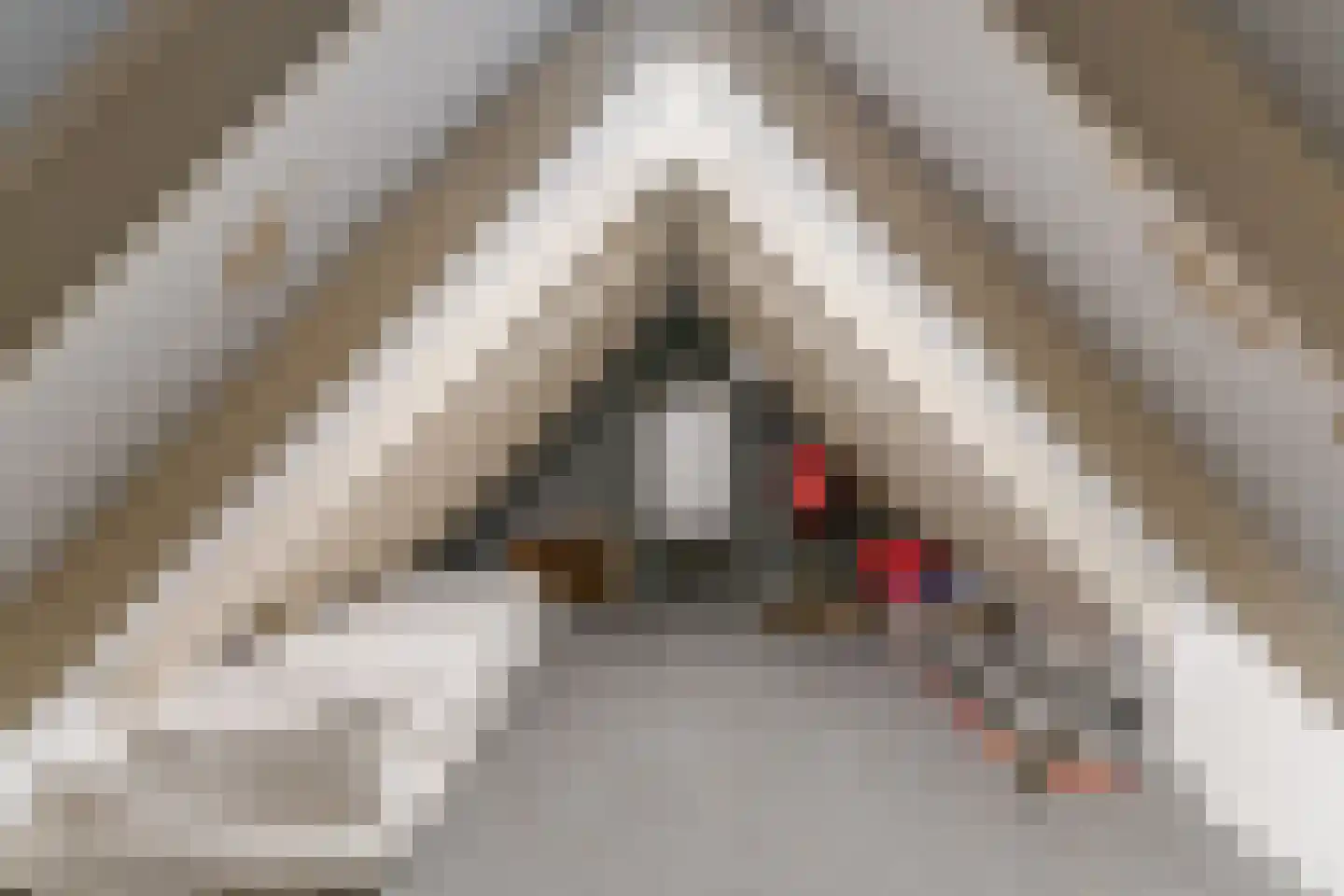 Willibrorduslaan 10 f Eersel thumbnail 42