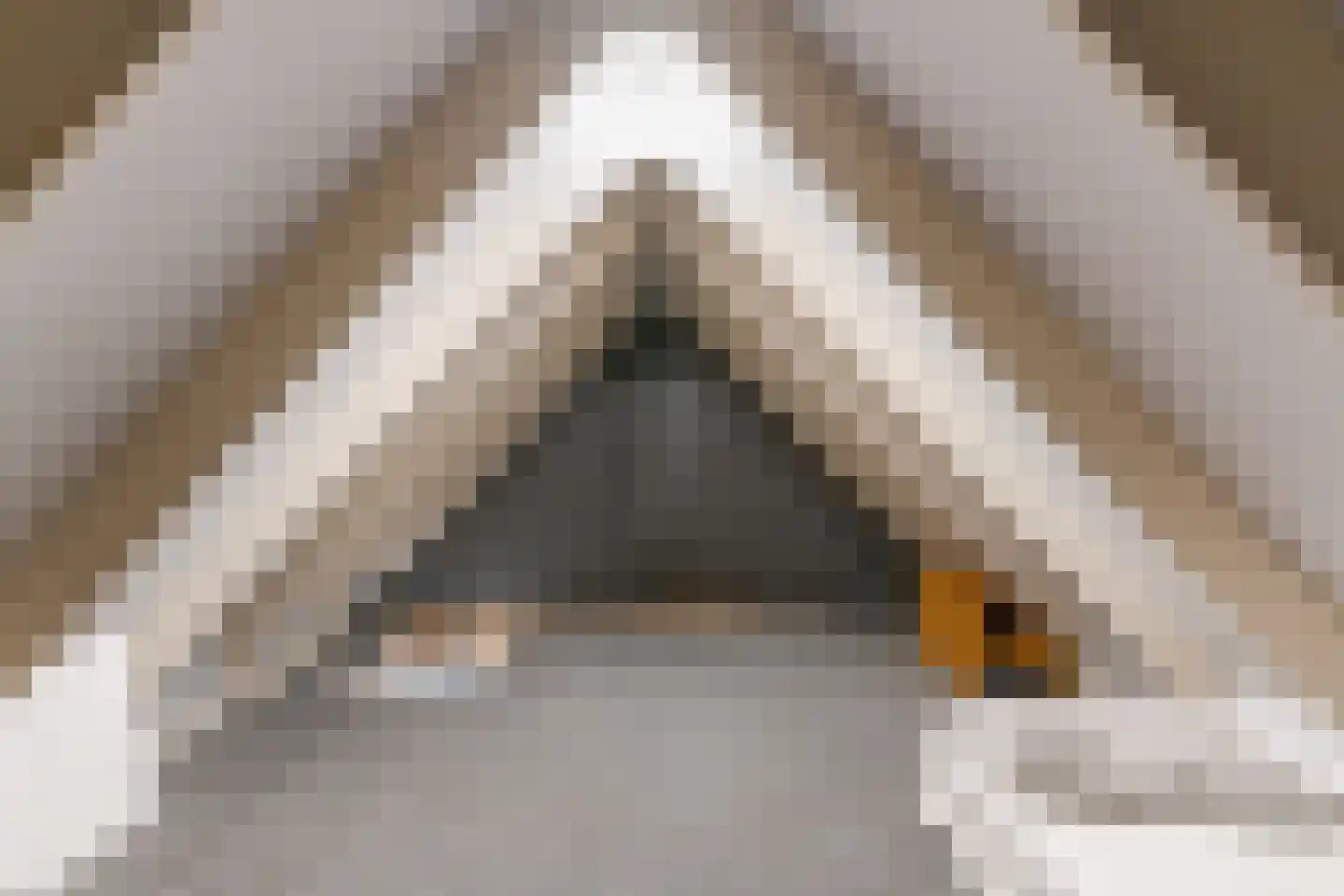 Willibrorduslaan 10 f Eersel thumbnail 43