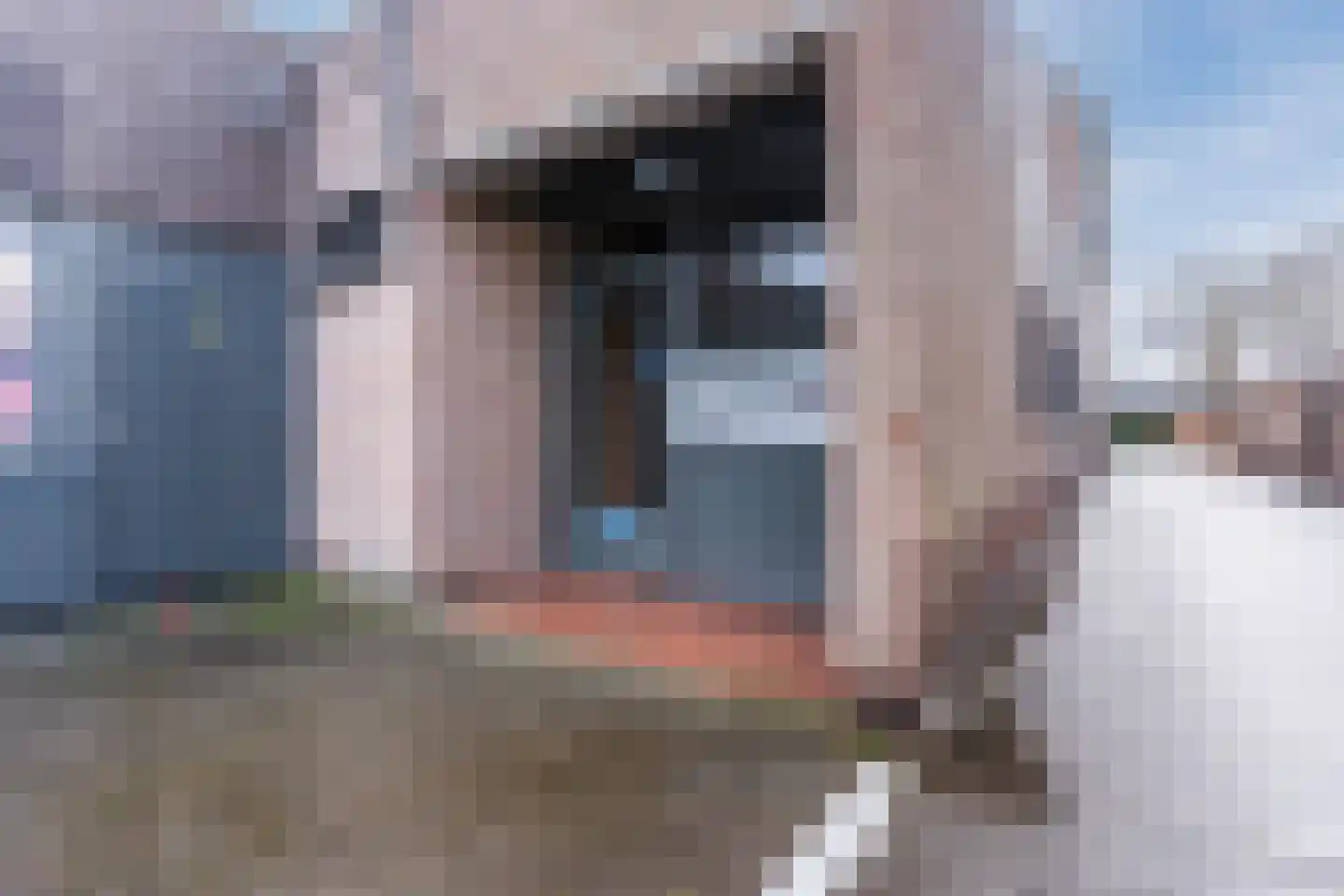 Willibrorduslaan 10 f Eersel thumbnail 9