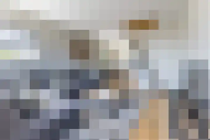 Willibrorduslaan 10 k Eersel thumbnail 11