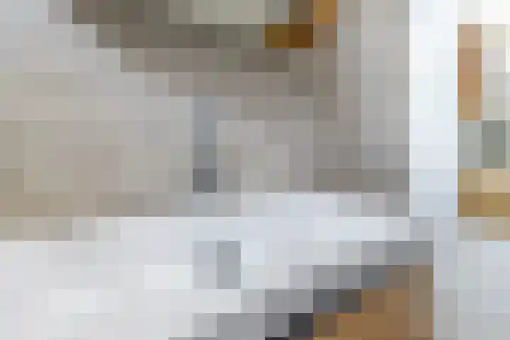Willibrorduslaan 10 k Eersel thumbnail 21