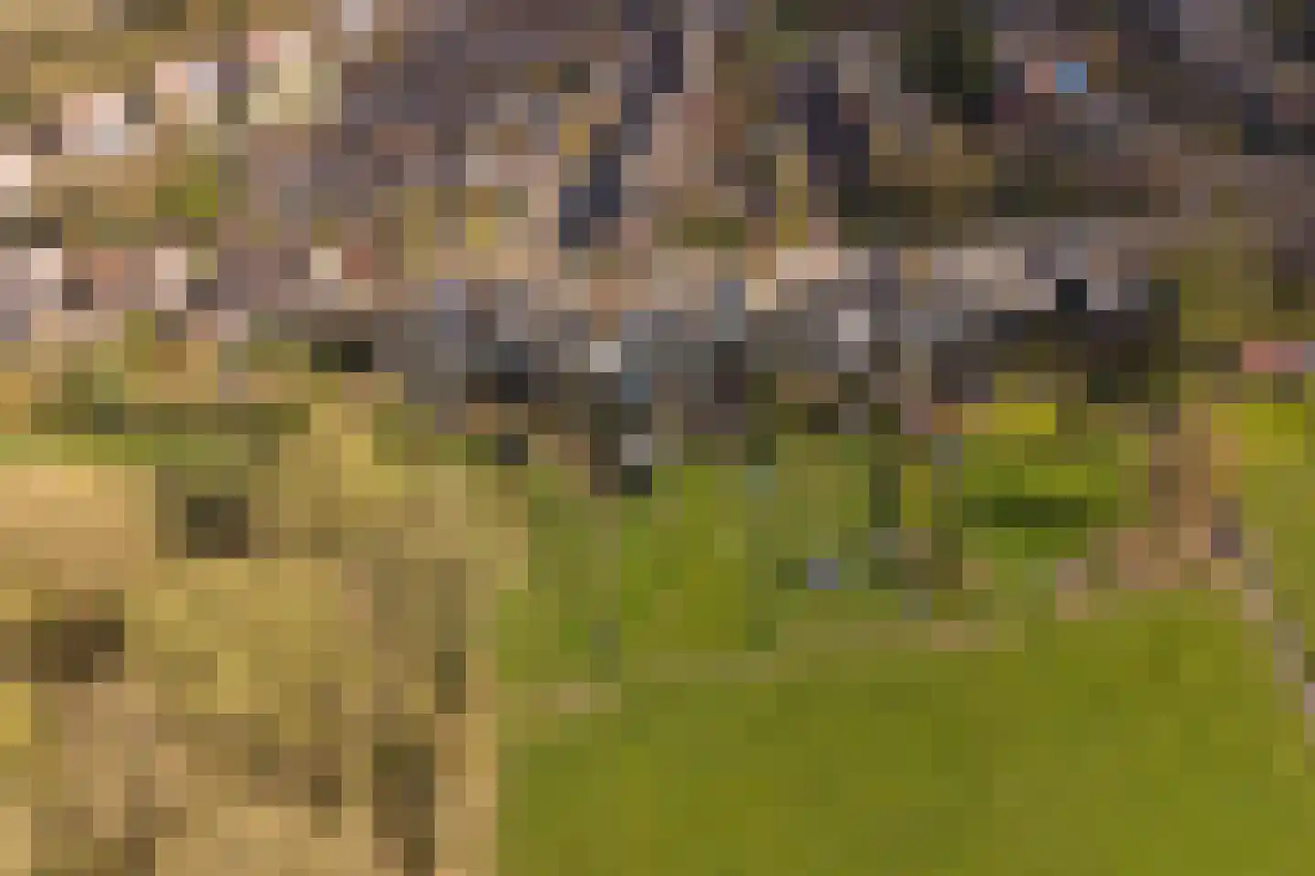 Willibrorduslaan 101 Hilversum thumbnail 23