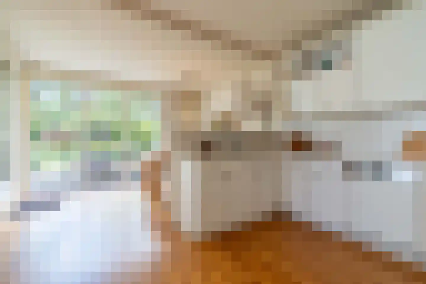 Willibrorduslaan 101 Waalre thumbnail 30
