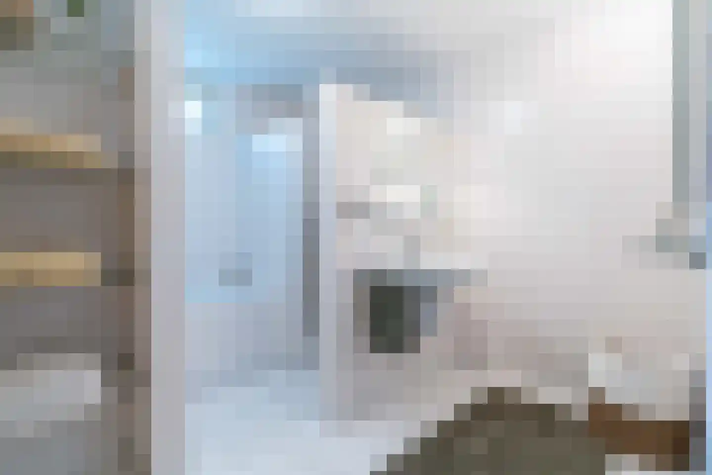 Willibrorduslaan 101 Waalre thumbnail 61
