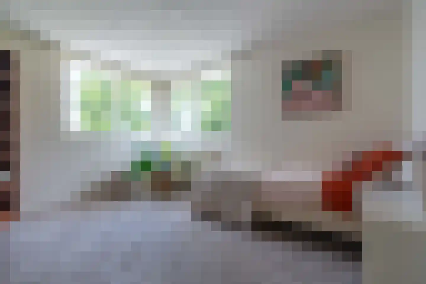 Willibrorduslaan 101 Waalre thumbnail 67