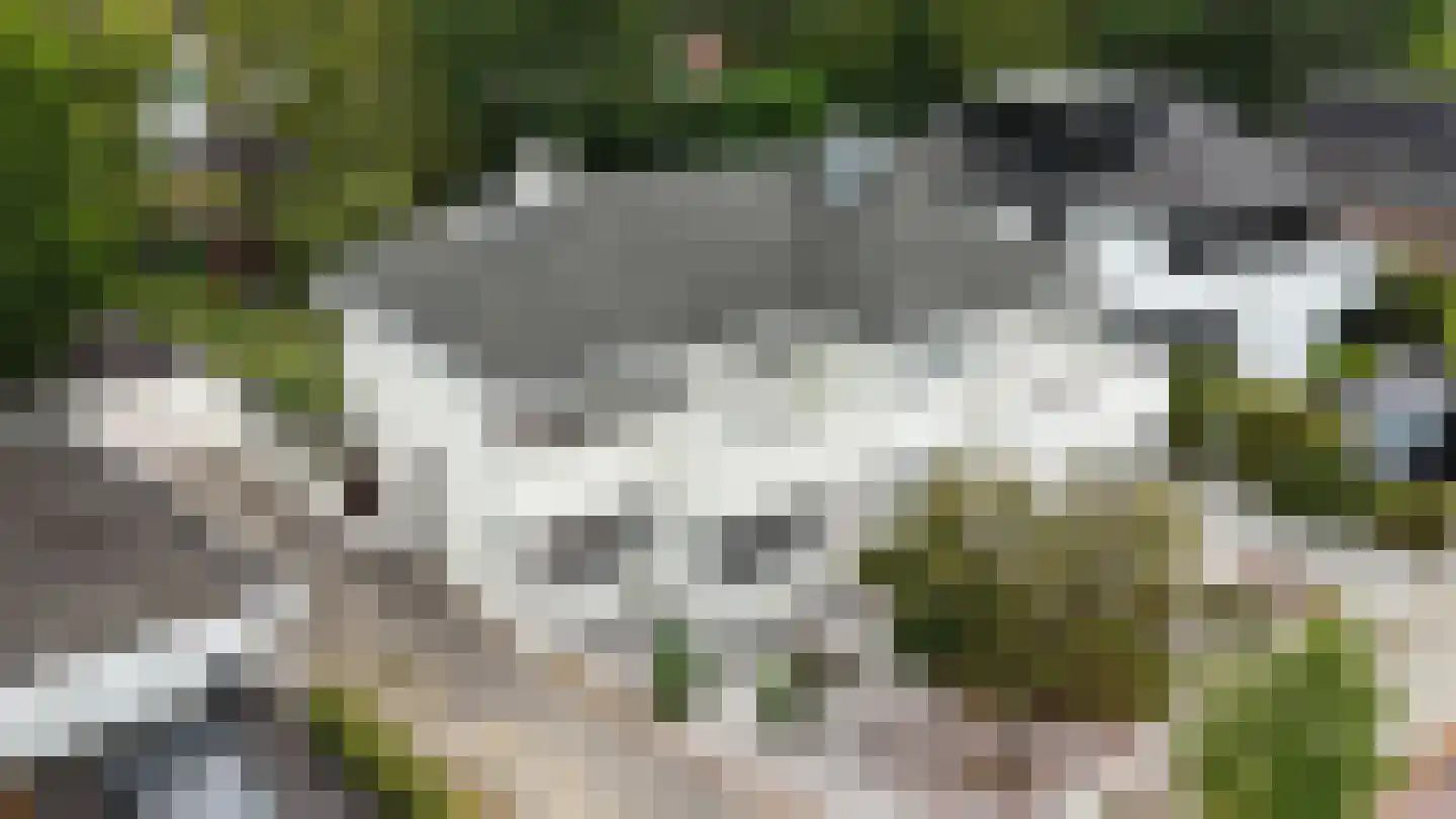 Willibrorduslaan 101 Waalre thumbnail 83
