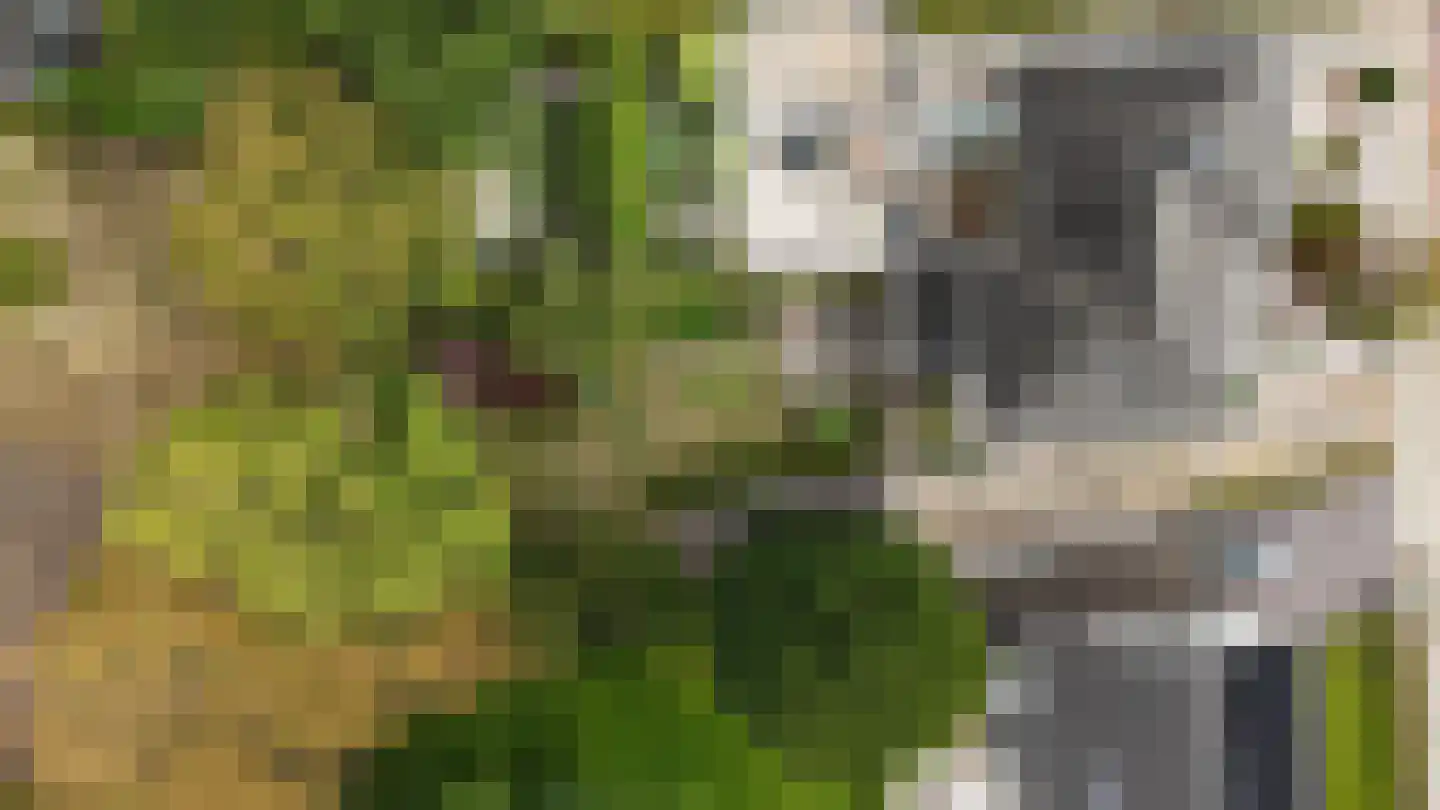 Willibrorduslaan 101 Waalre thumbnail 84
