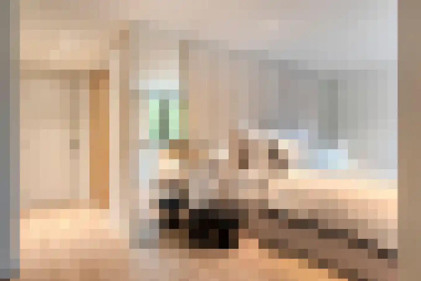 Willibrorduslaan 103 a Waalre thumbnail 40