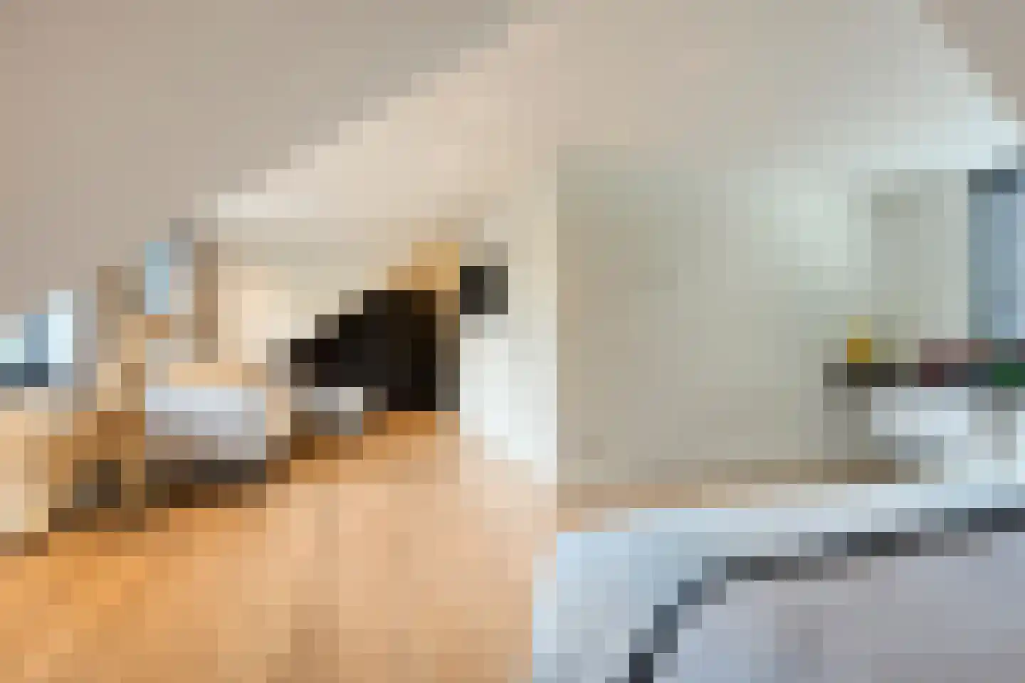 Willibrorduslaan 103 a Waalre thumbnail 52