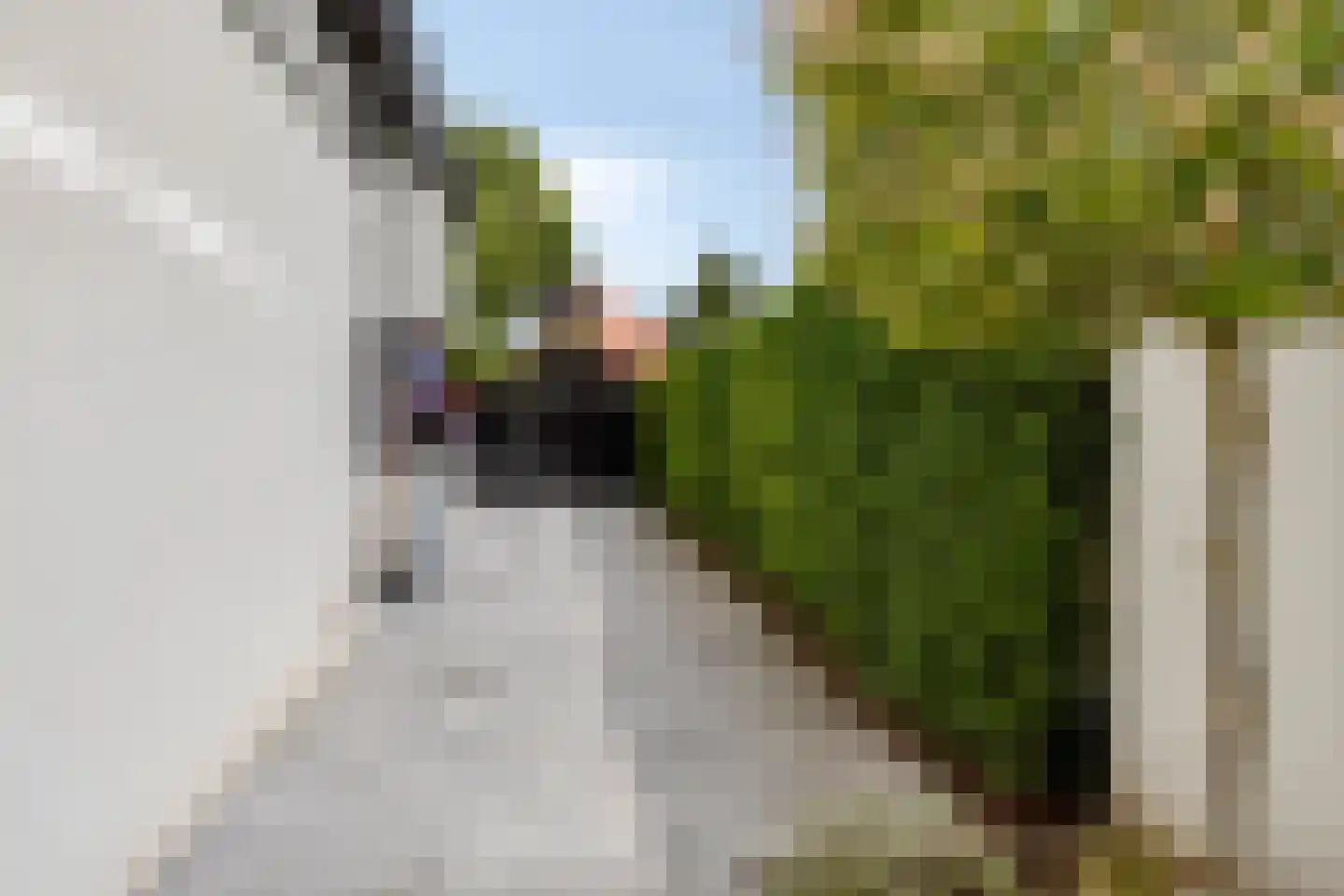 Willibrorduslaan 103 a Waalre thumbnail 69