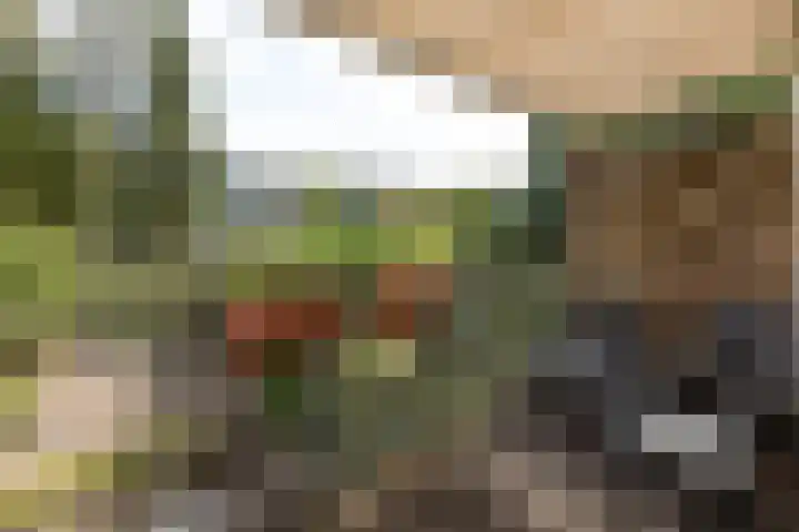 Willibrorduslaan 106 Hilversum thumbnail 20