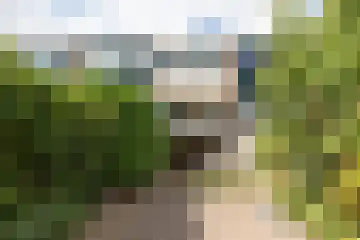 Willibrorduslaan 106 Hilversum thumbnail 21