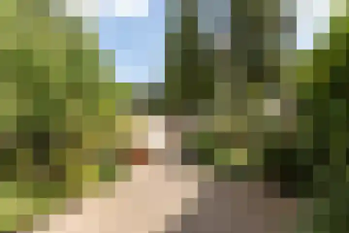 Willibrorduslaan 106 Hilversum thumbnail 23