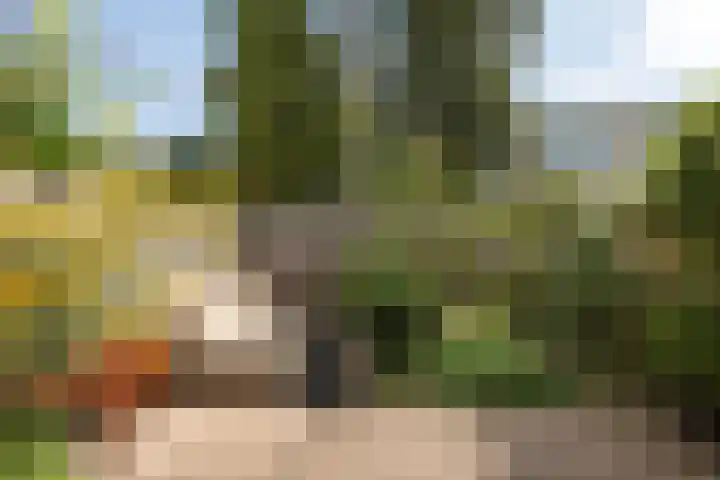 Willibrorduslaan 106 Hilversum thumbnail 24