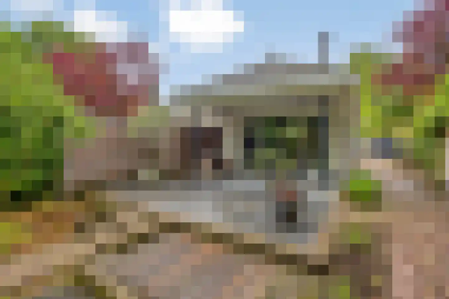 Willibrorduslaan 109 Waalre thumbnail 34