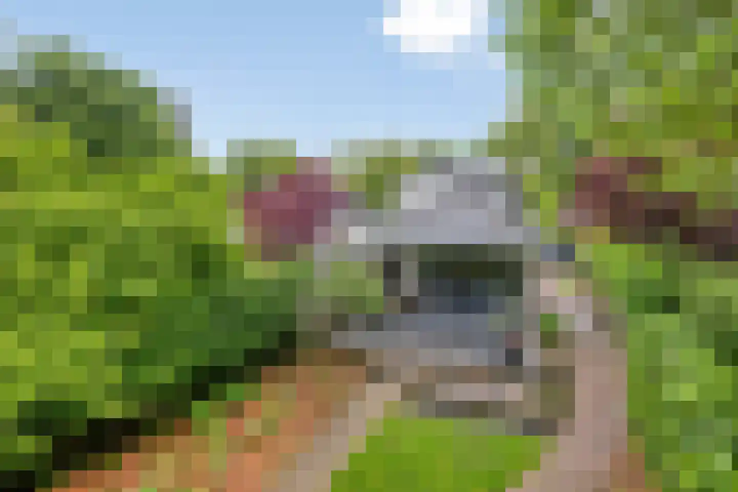 Willibrorduslaan 109 Waalre thumbnail 36