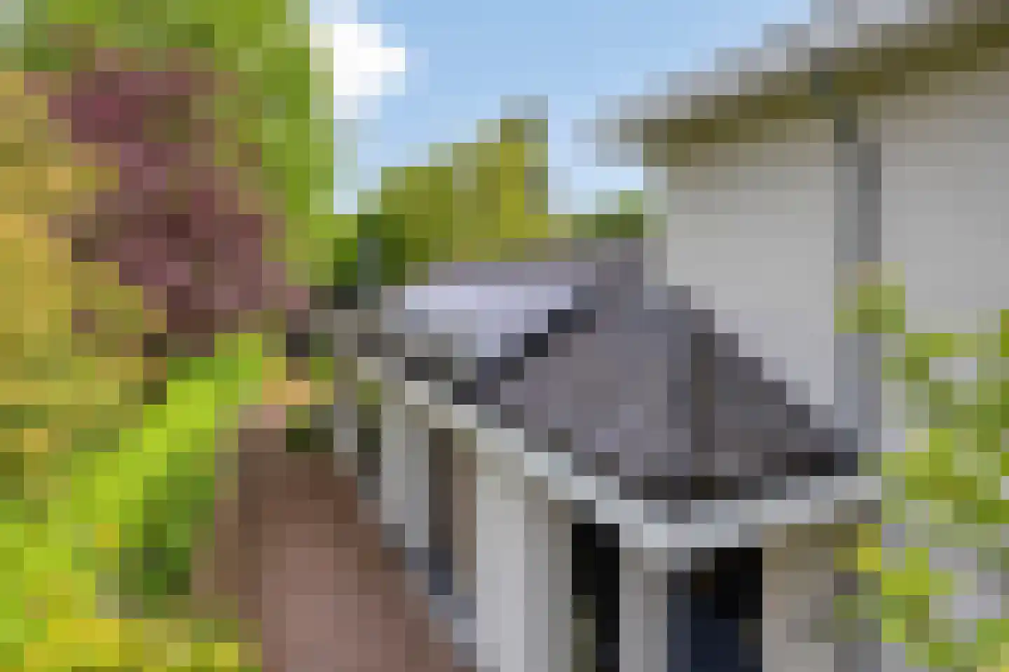Willibrorduslaan 109 Waalre thumbnail 37