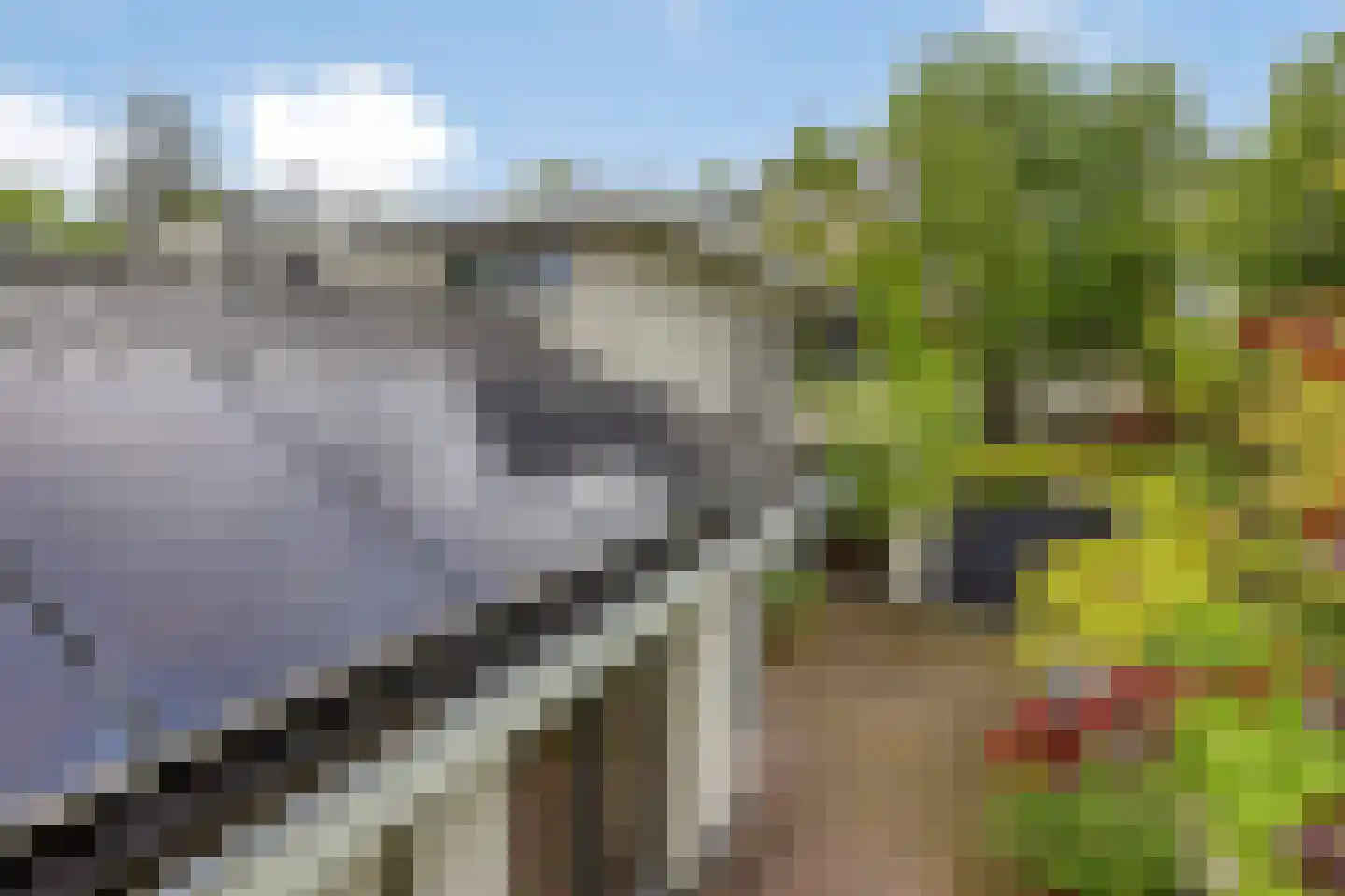 Willibrorduslaan 109 Waalre thumbnail 38