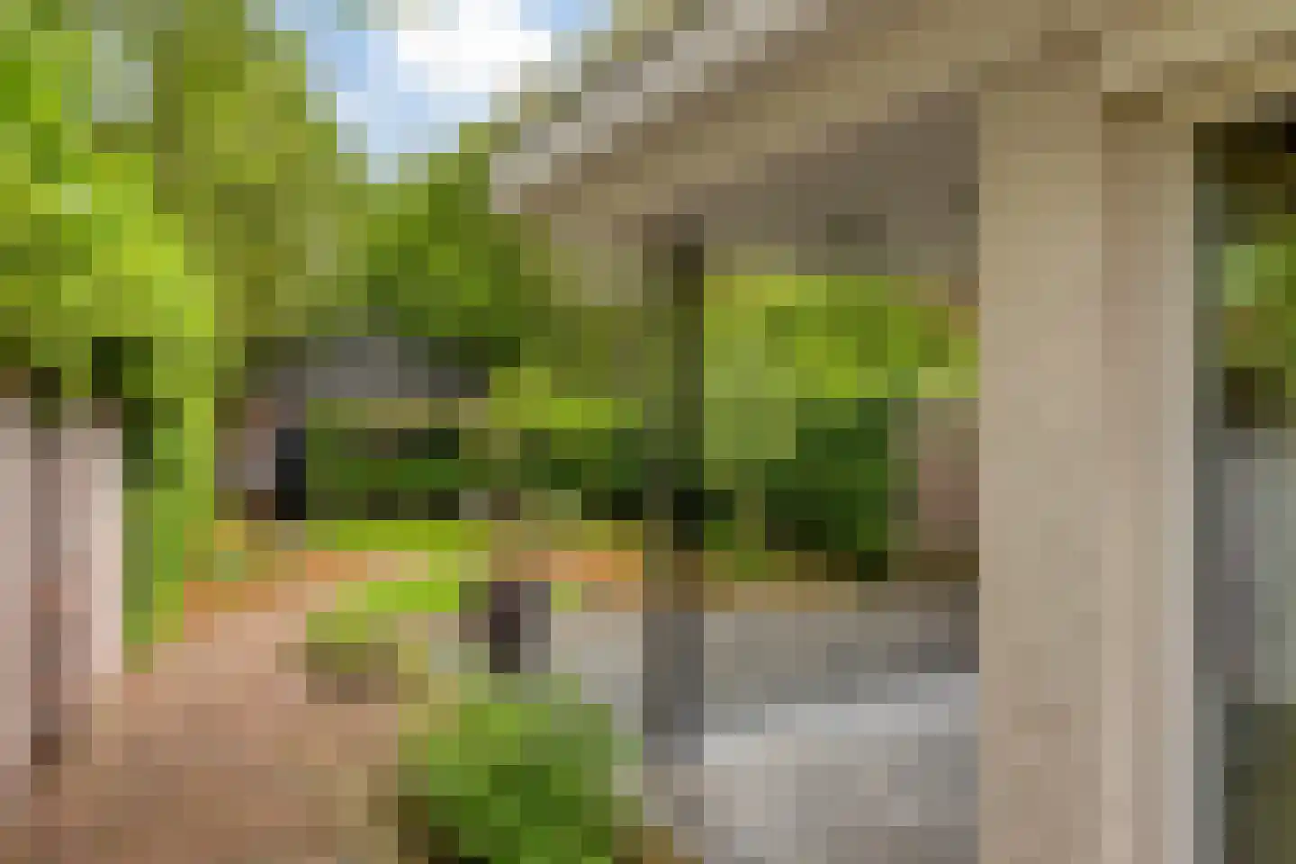 Willibrorduslaan 109 Waalre thumbnail 41
