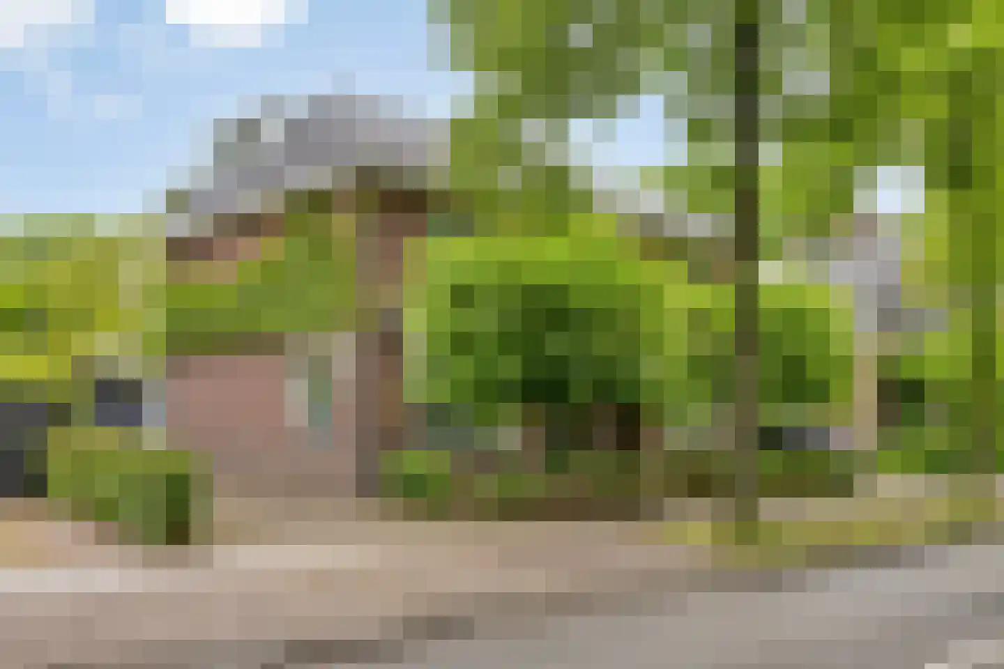 Willibrorduslaan 109 Waalre thumbnail 52