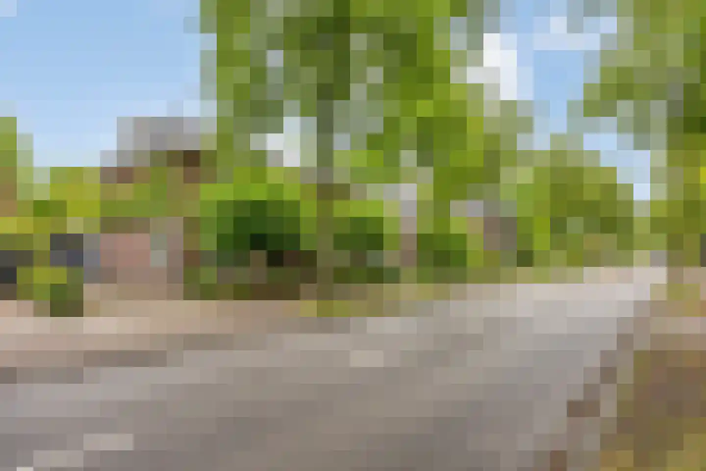 Willibrorduslaan 109 Waalre thumbnail 53