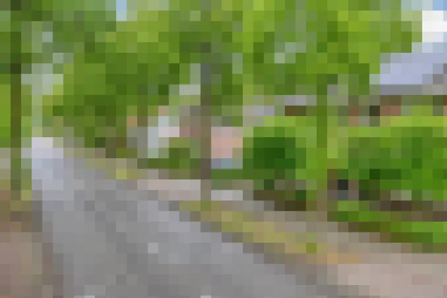 Willibrorduslaan 109 Waalre thumbnail 56