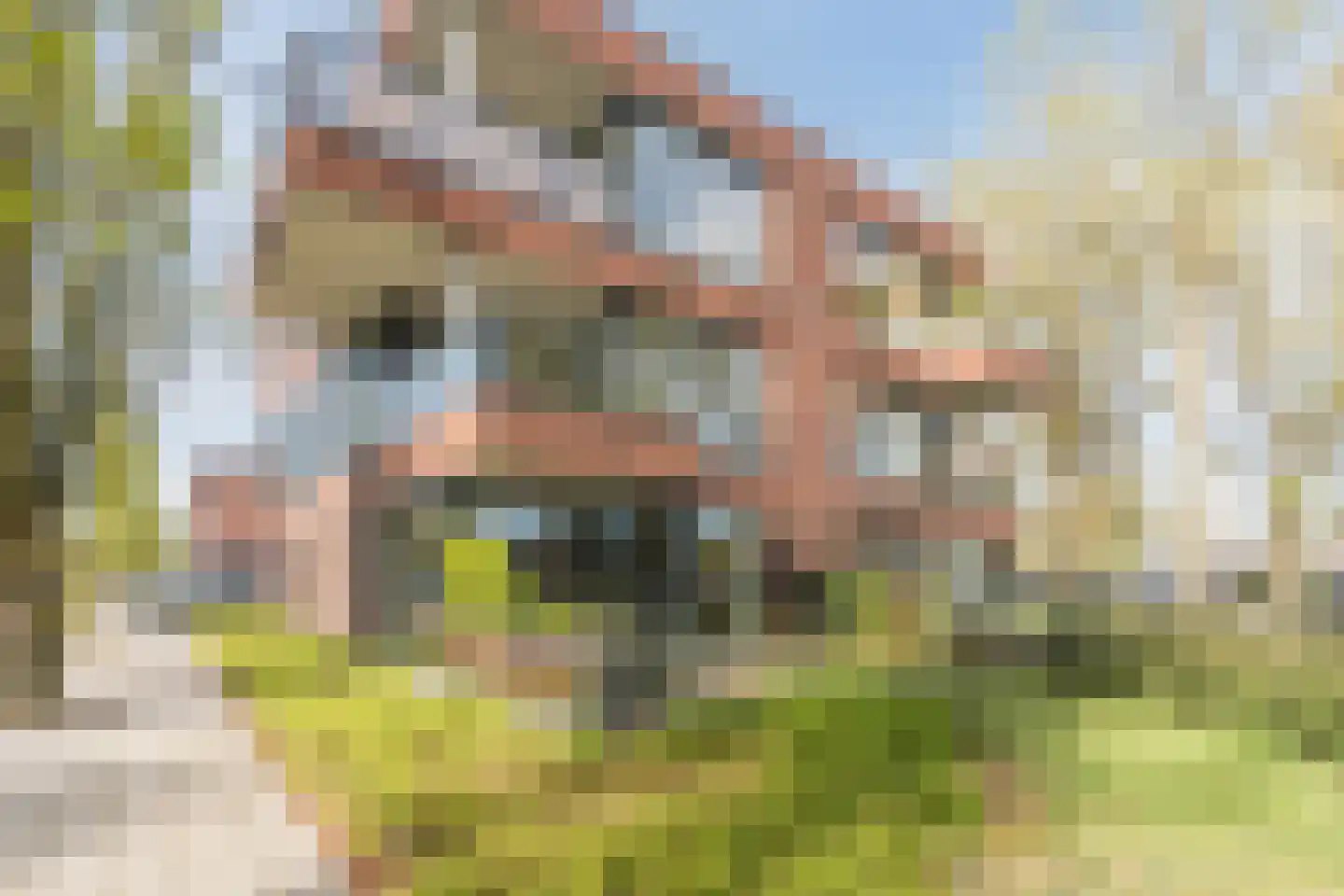 Willibrorduslaan 111 Valkenswaard