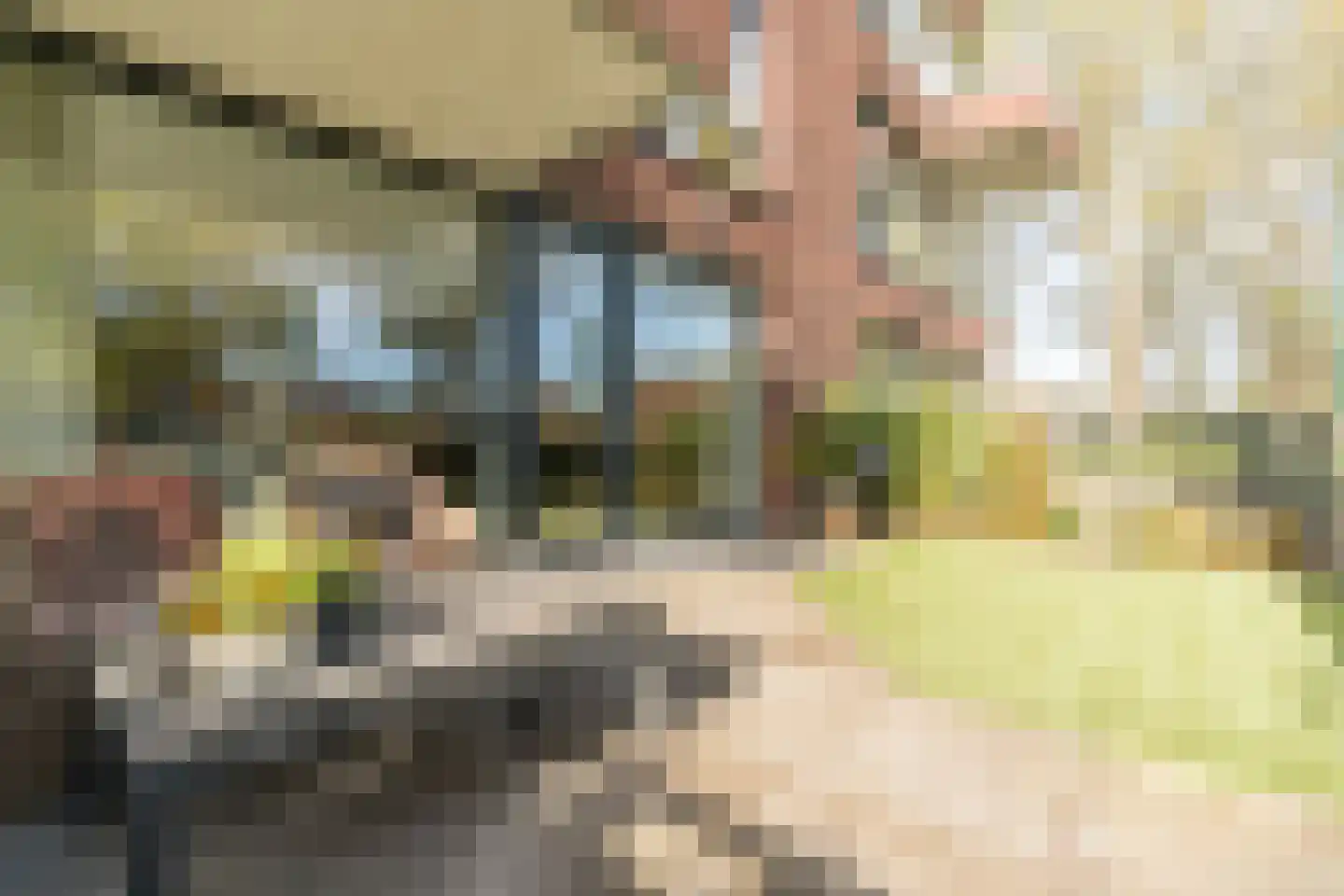 Willibrorduslaan 111 Valkenswaard thumbnail 22