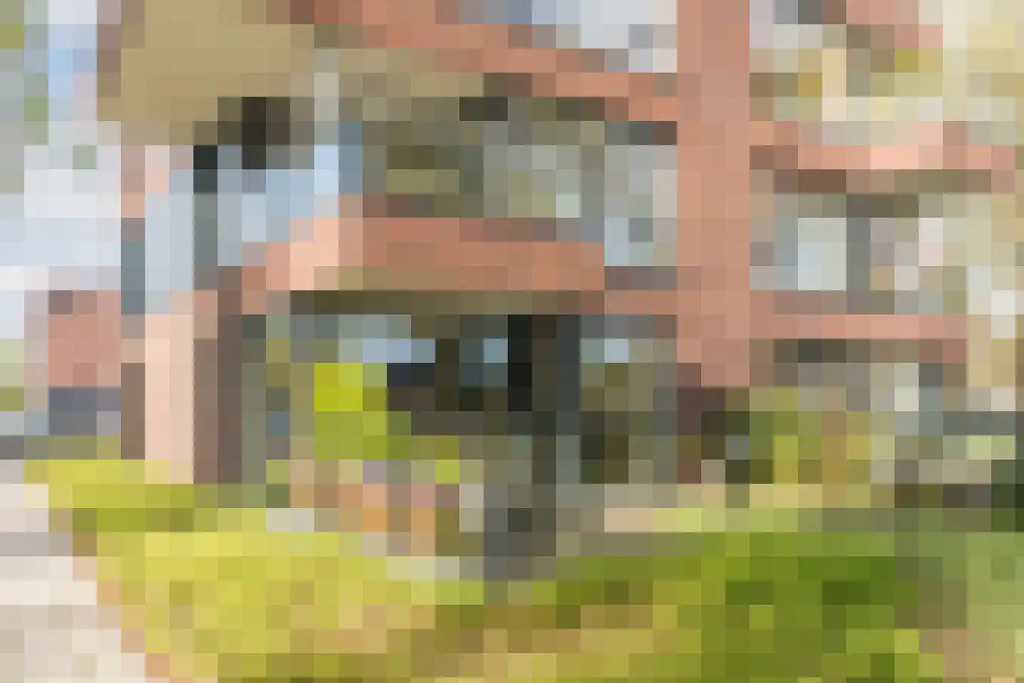 Willibrorduslaan 111 Valkenswaard thumbnail 28