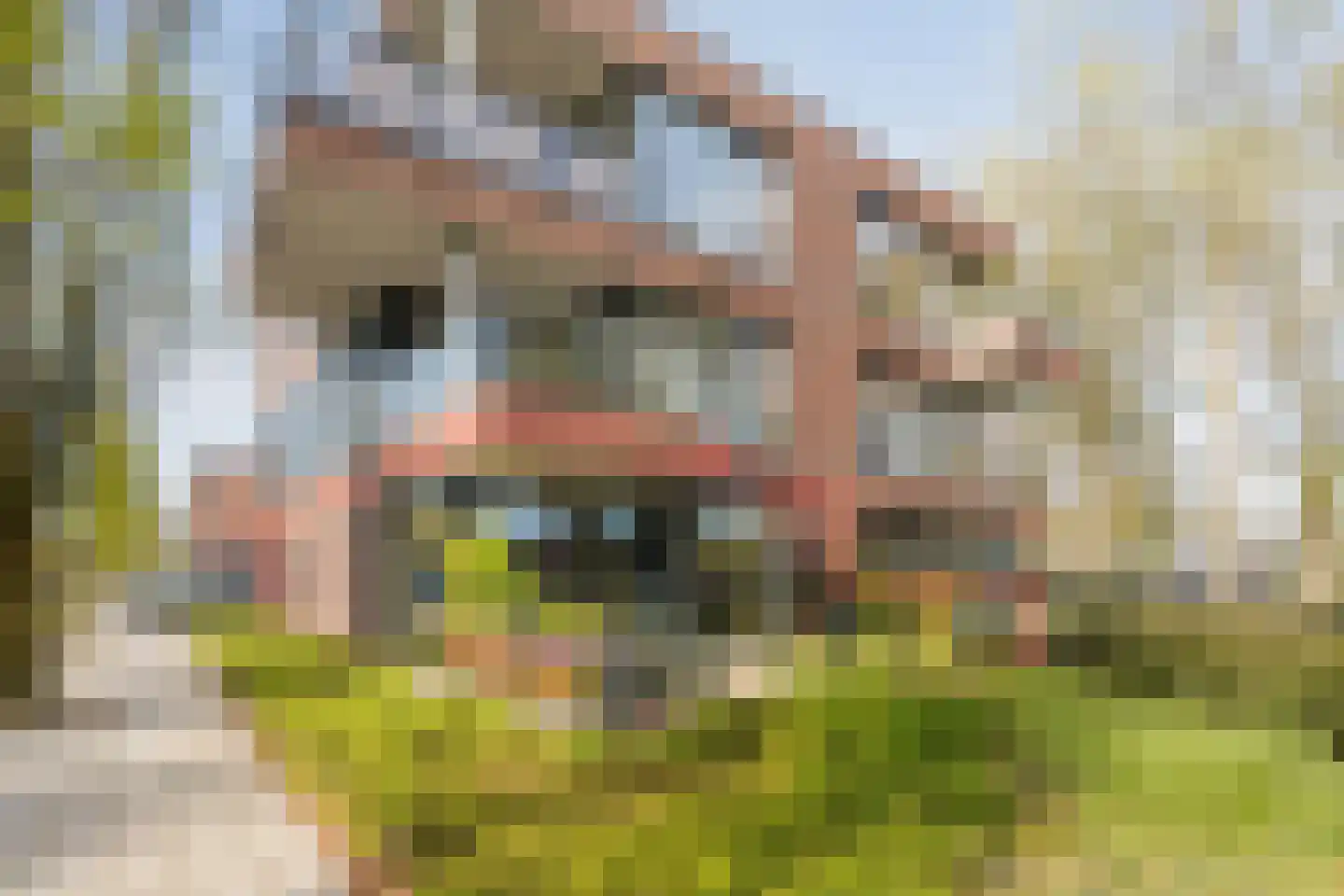 Willibrorduslaan 111 Valkenswaard thumbnail 6