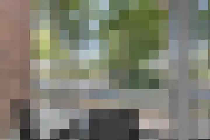Willibrorduslaan 115 Valkenswaard thumbnail 25