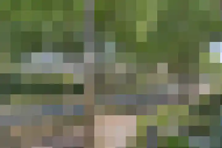 Willibrorduslaan 115 Valkenswaard thumbnail 26