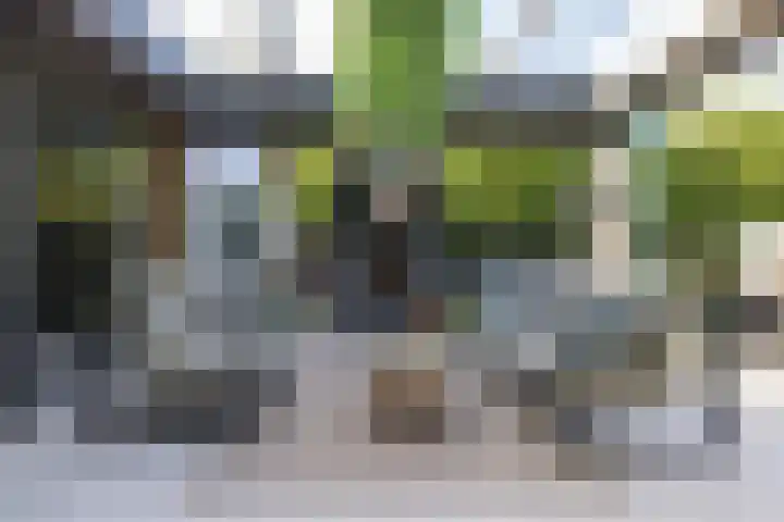 Willibrorduslaan 117 a Waalre thumbnail 14