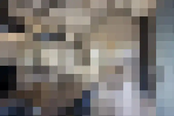 Willibrorduslaan 117 a Waalre thumbnail 16