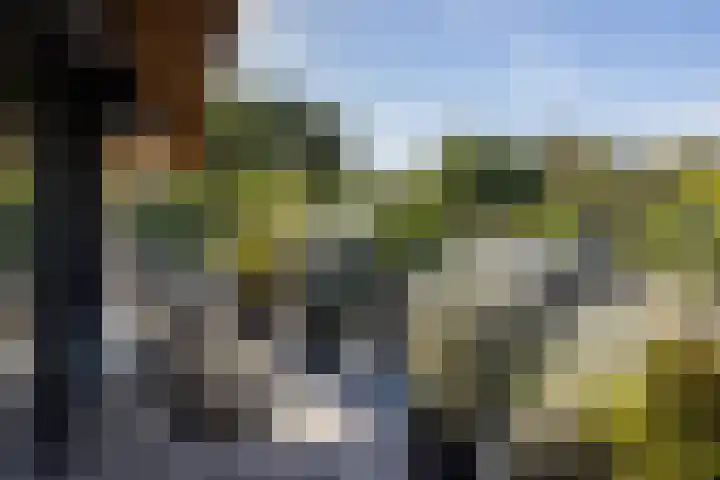 Willibrorduslaan 117 a Waalre thumbnail 28