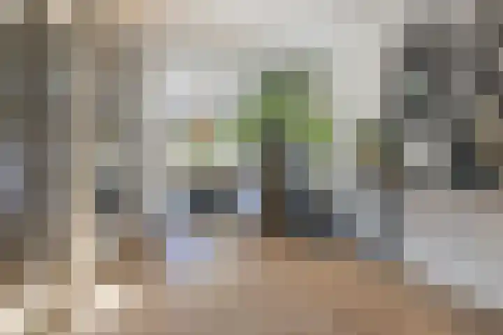 Willibrorduslaan 117 a Waalre thumbnail 7