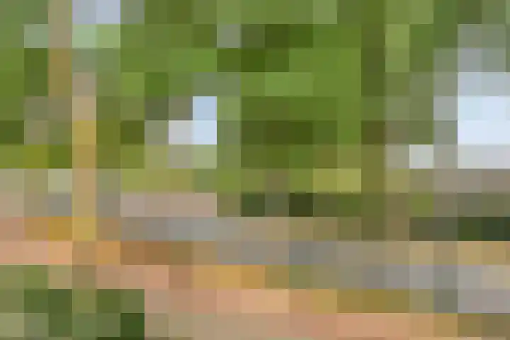 Willibrorduslaan 119 Valkenswaard thumbnail 21