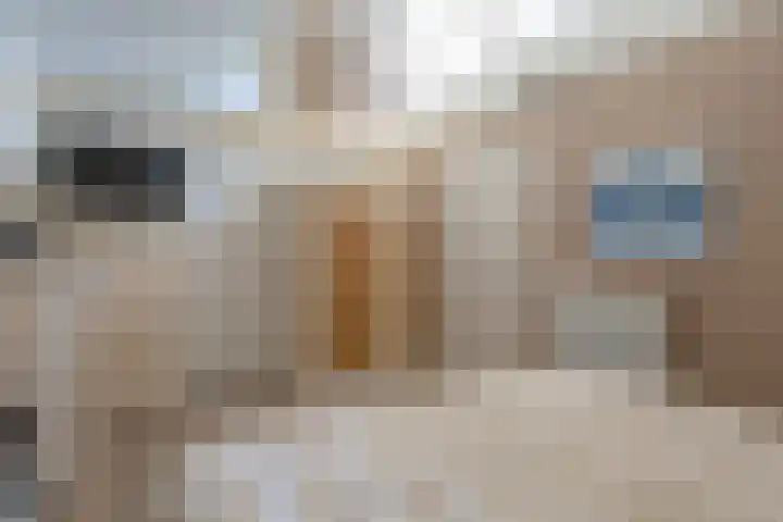 Willibrorduslaan 121 Waalre thumbnail 14