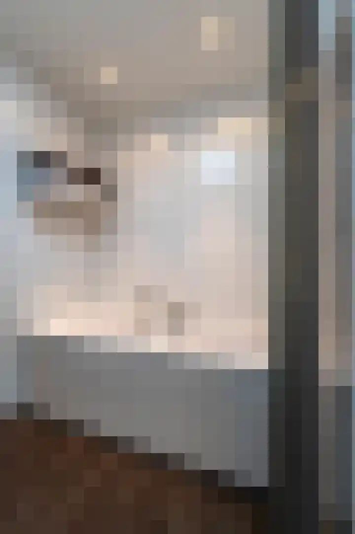 Willibrorduslaan 121 Waalre thumbnail 16