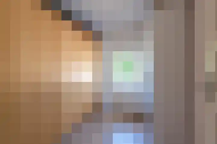 Willibrorduslaan 121 Waalre thumbnail 27