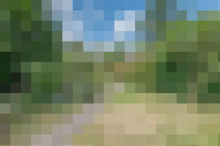 Willibrorduslaan 121 Waalre thumbnail 30