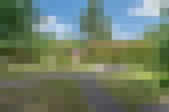 Willibrorduslaan 121 Waalre thumbnail 31