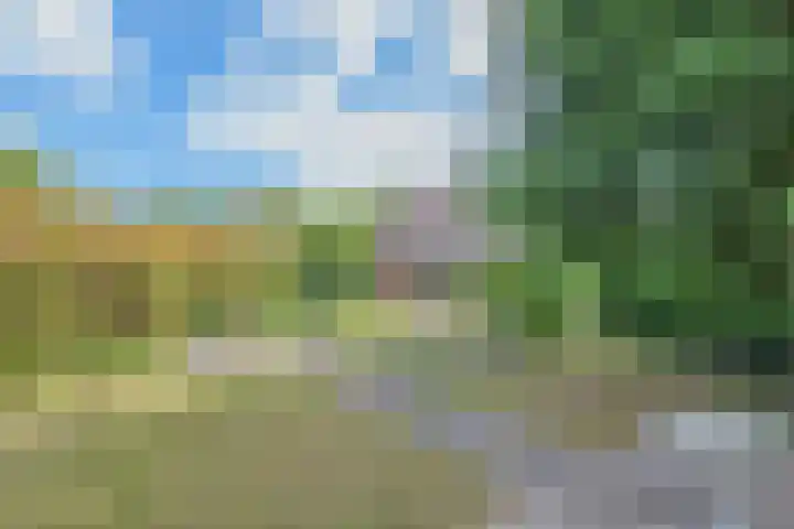 Willibrorduslaan 121 Waalre thumbnail 32