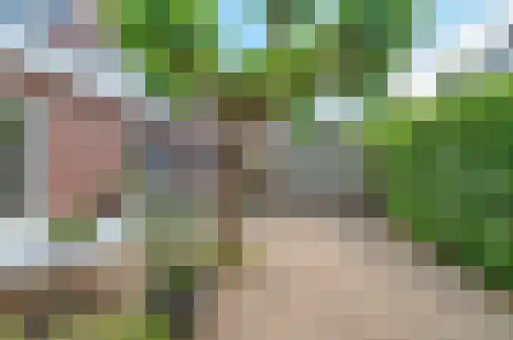 Willibrorduslaan 121 Waalre thumbnail 34