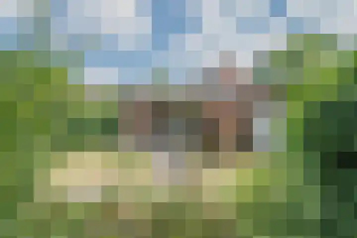 Willibrorduslaan 121 Waalre thumbnail 37