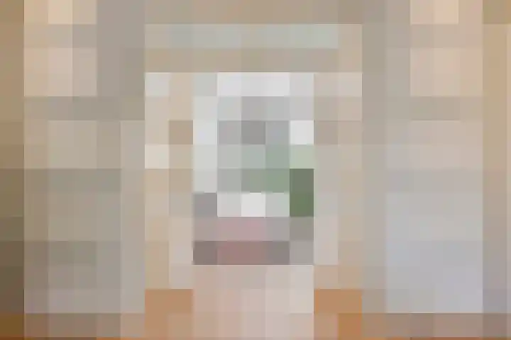 Willibrorduslaan 123 Waalre thumbnail 12