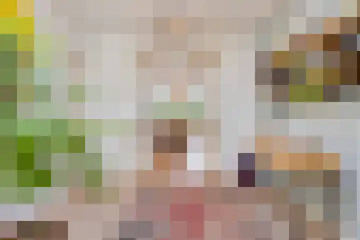 Willibrorduslaan 123 Waalre thumbnail 13