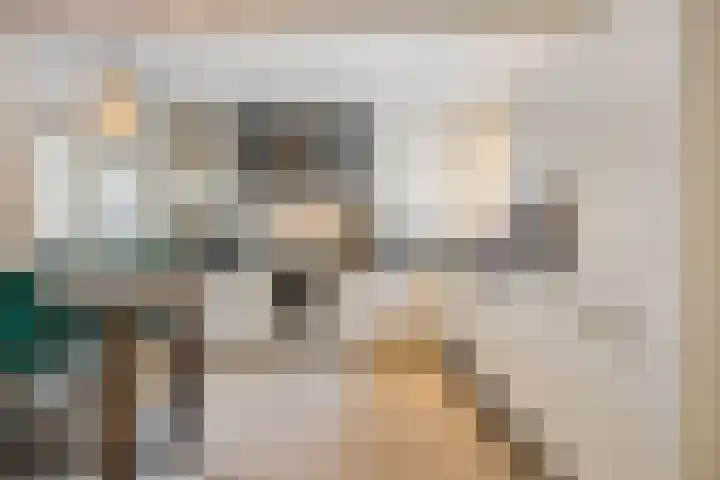 Willibrorduslaan 123 Waalre thumbnail 17