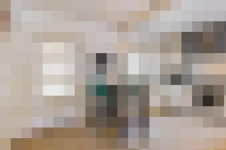 Willibrorduslaan 123 Waalre thumbnail 18